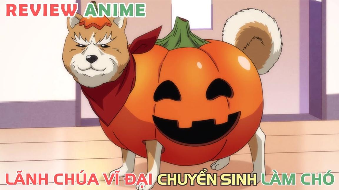 Lãnh Chúa NOBUNAGA Vĩ Đại Chuyển Sinh Làm Chó | REVIEW PHIM ANIME HAY