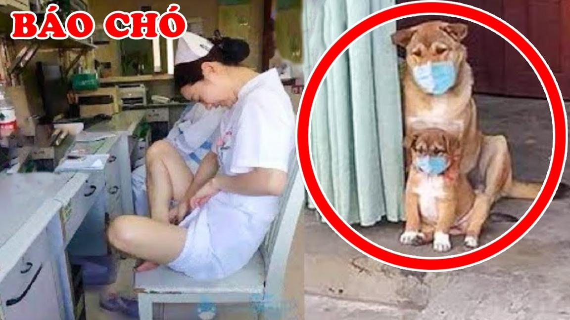 Thanh Niên Gặp Chó Và Cảnh Tượng Đáng Sợ Cần Khoa Học Giải Thích