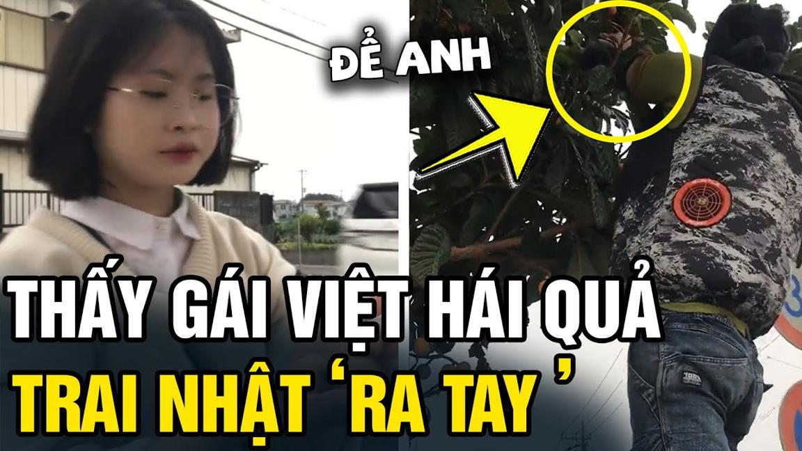 Thấy GÁI VIỆT hái quả BIWA, thanh niên NHẬT ra tay và cái kết NGỠ NGÀNG | Tin 5s