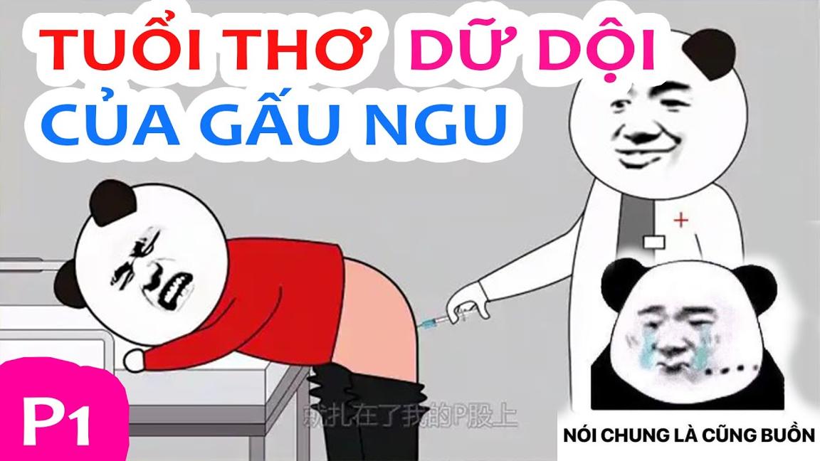 GẤU HÀI HƯỚC: Gấu Tán Gái Lúc Trẻ Trâu P1 | Phim hoạt hình gấu trung quốc cười bể bụng