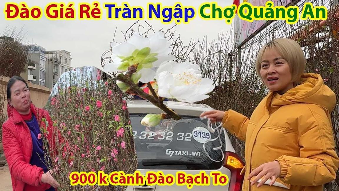 Tết Hà Nội 2024 - Chị Gái Xinh Sung Sướng Mua Cành Đào Bạch Giá Rẻ Chưa Từng Thấy