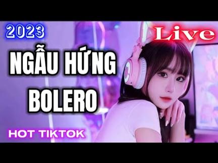 Tiktok - Ngẫu Hứng Bolero - Phương Dung (Bolero Gái Xinh Mới Cập Nhật)