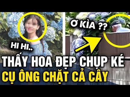 Thấy BỤI HOA ĐẸP, cô gái đứng lại chụp hình nào ngờ vừa quay đi chủ nhà đã CẮT TRỤI | Tin 3 Phút