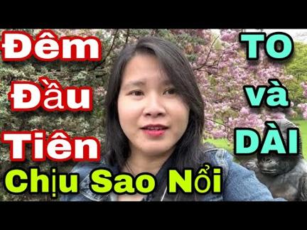 Chịu Đời Sao Thấu❗️CHỒNG Mỹ VỢ Việt ĐÊM ĐẦU TIÊN RỚT NƯỚC MẮT - Chuyện Lạ có thật ❗️” SIÊU TO KHỦNG