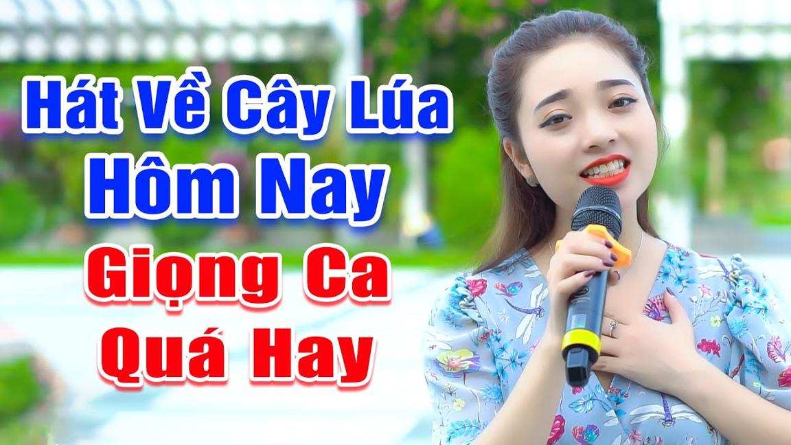 Nổi Da Gà Trước Tiếng Ca Của Em Gái Xinh Đẹp Ngọc Khánh - LK Hát Về Cây Lúa Hôm Nay