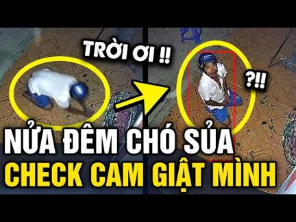 Nửa đêm nghe TIẾNG CHÓ SỦA, cô gái check cam phát hiện người đàn ông DẬP ĐẦU TRƯỚC CỬA | Tin 3 Phút